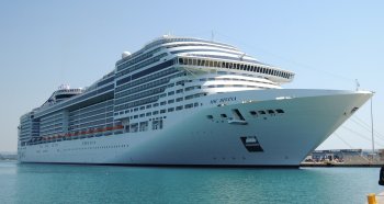 MSC-DIVINA.jpg