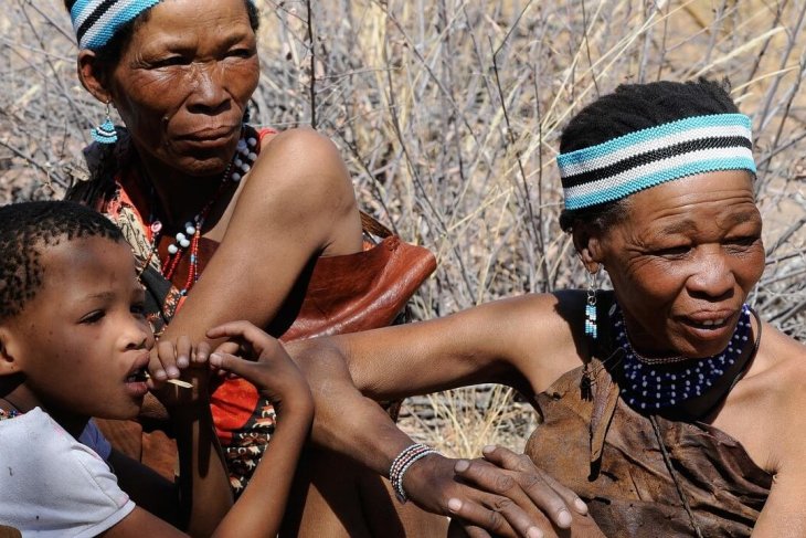 botswana-2219380_1280.jpg