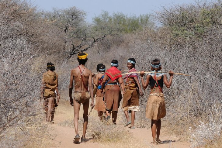 botswana-2219383_1280.jpg