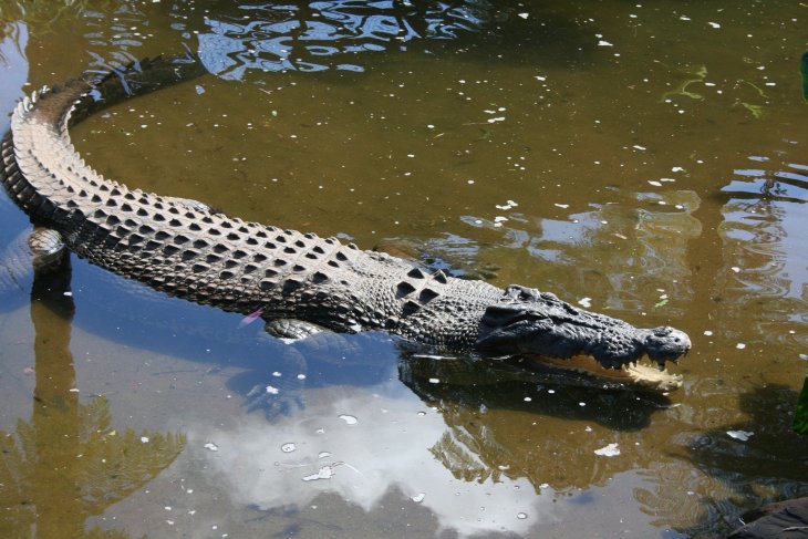 cairns-2302651_2.jpg