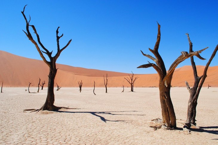 deadvlei-2011373_3.jpg