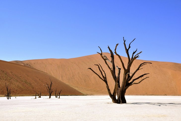 namibia-.jpg