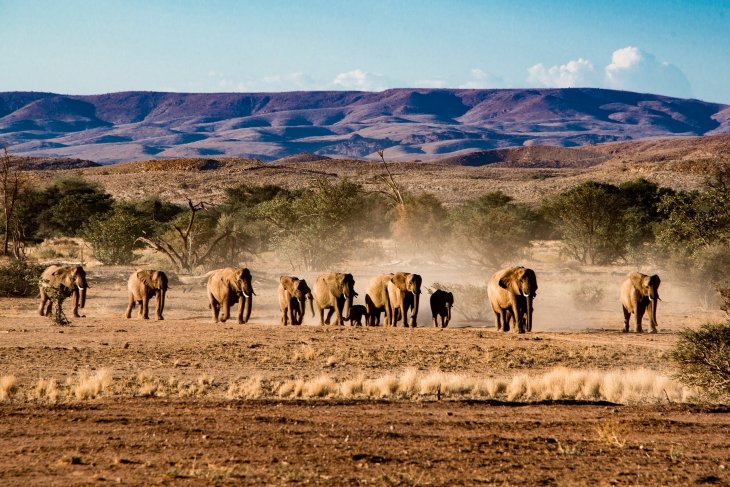 namibia3.jpg